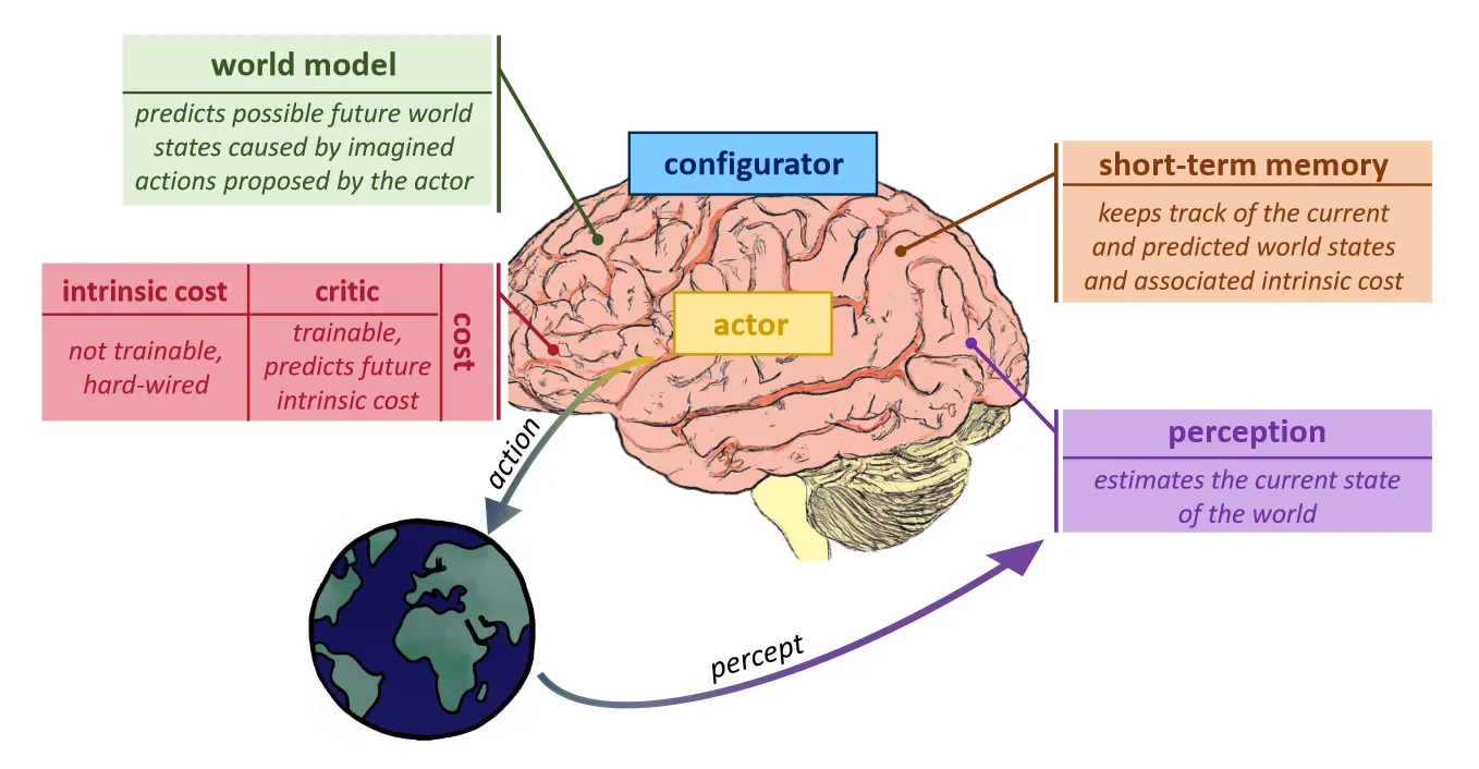 Block diagram drawn over a cartoon brain, with labelled modules for a configurator, an actor, a world model, a cost module split into intrinsic cost and critic, short-term memory and perception, plus arrows for actions sent to and percepts received from a globe standing in for the world.